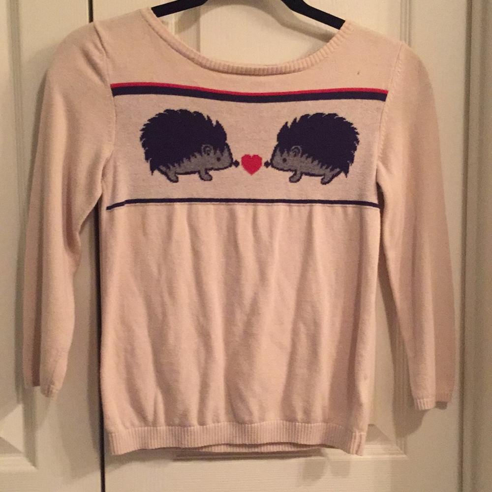 Cropped hedgehog sweater from urban outfitters
